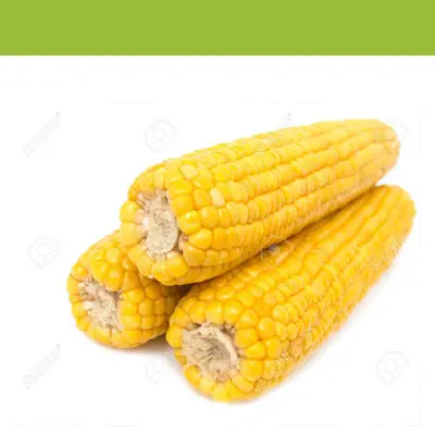 Elote amarillo, 3 piezas, paquete