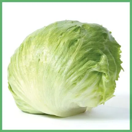 Lechuga bola (romana), pieza