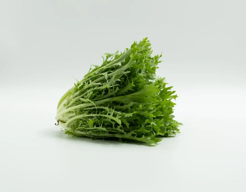 Lechuga escarlota, pieza