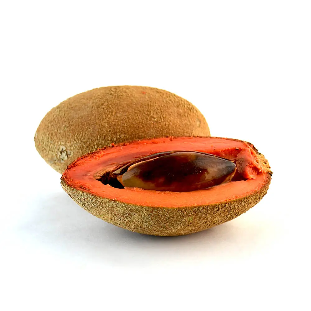 mamey, pieza