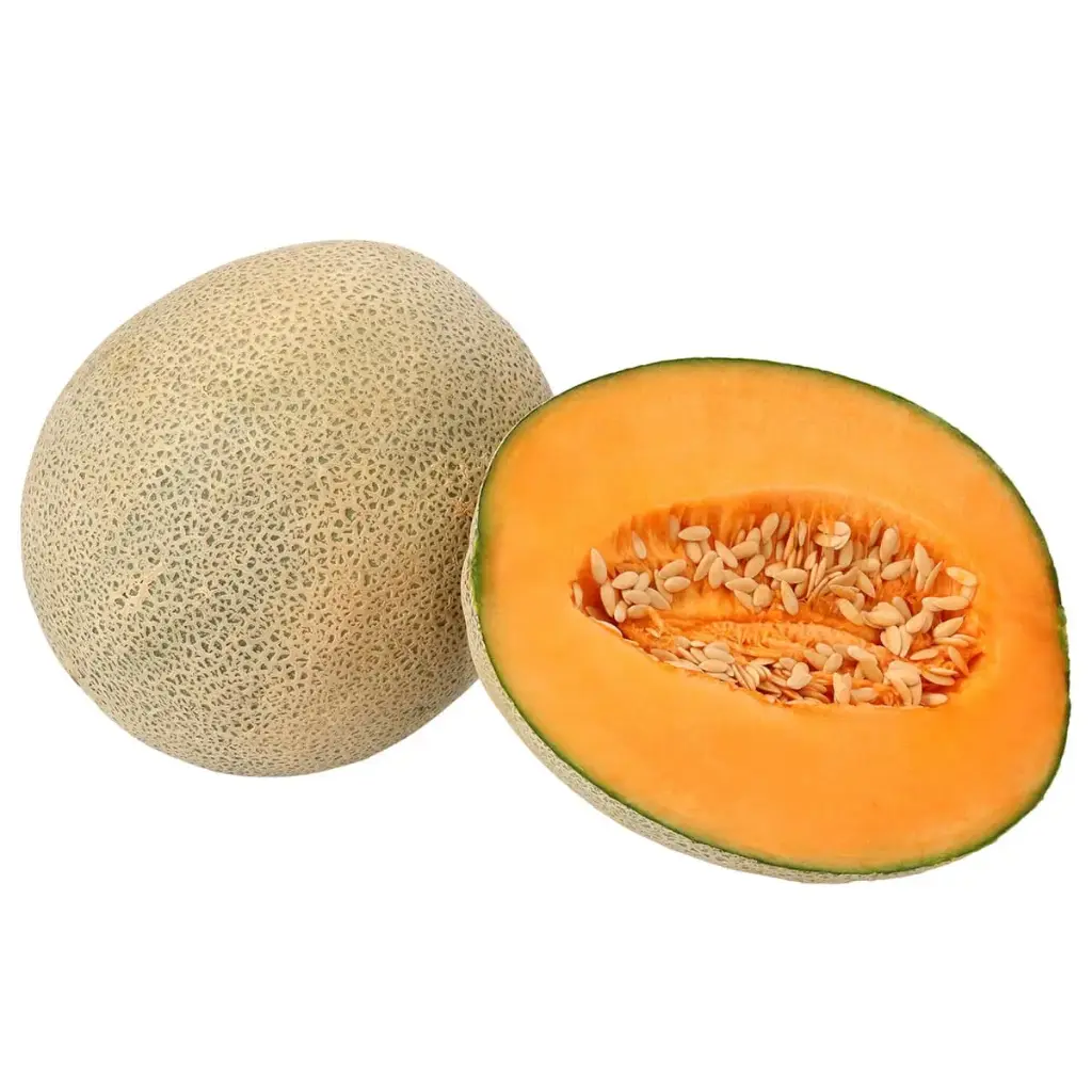 [1879] Melón chino grande, pieza