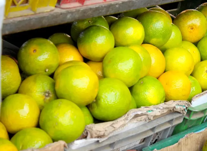 [1891] Naranja común (mas de 80 kilos), kilo