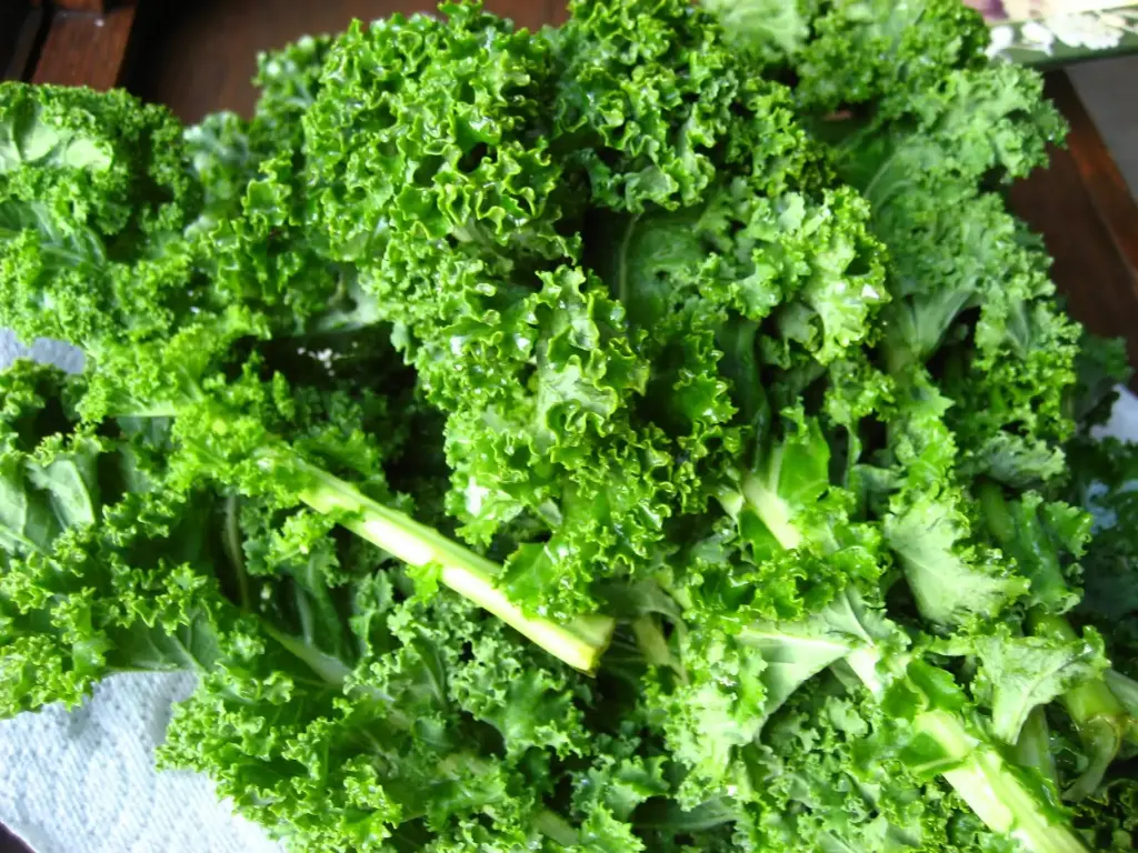 [2161] Berza china-kale racimo 3kg, racimo grande