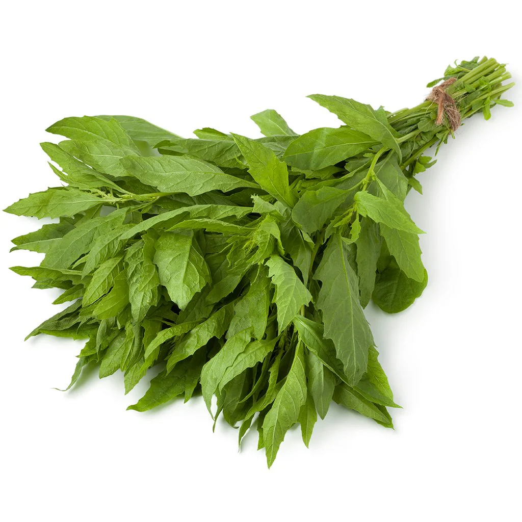 Epazote verde kilo, kilo