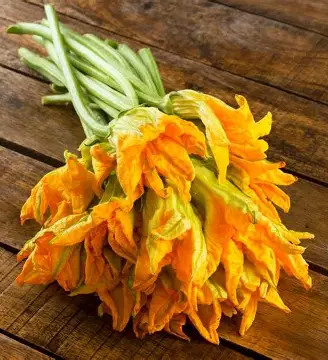 [2188] Flor de calabaza r, manojo 125