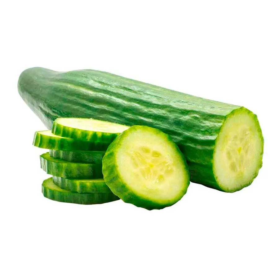 [2824A] Pepino Europeo