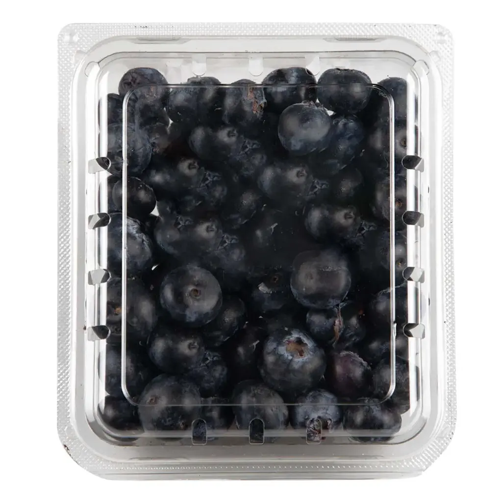 [590A] Blueberry domo de 170 grs 12 pz, caja