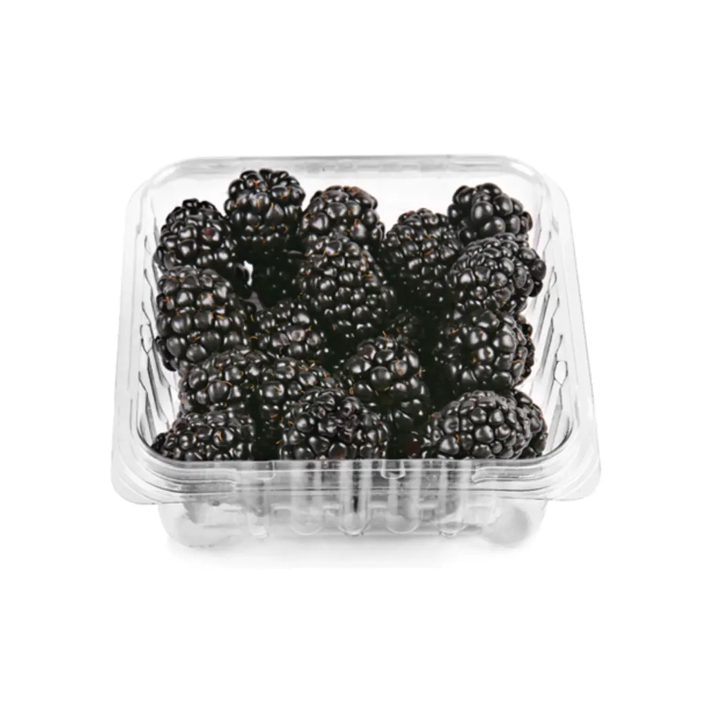 [593A] Zarzamora domo 170 grs 12 pz, caja