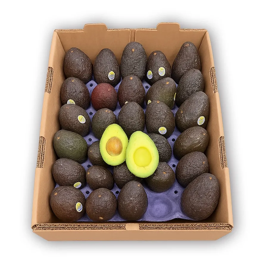Aguacate mediano 10 kg, hass, caja