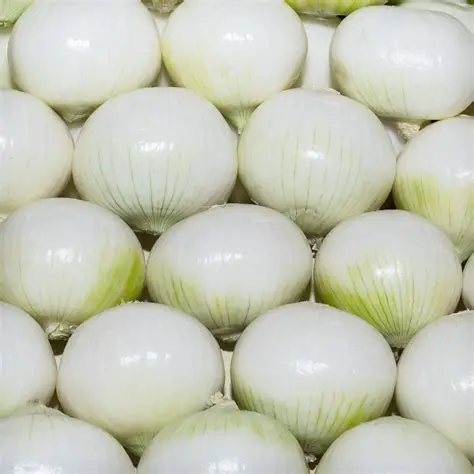 Cebolla blanca sucia de primera, kilo (limpia)