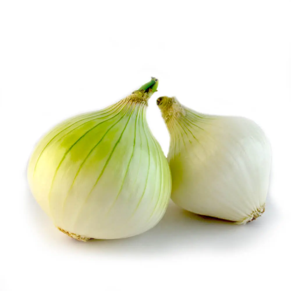 Cebolla blanca sucia de segunda, kilo