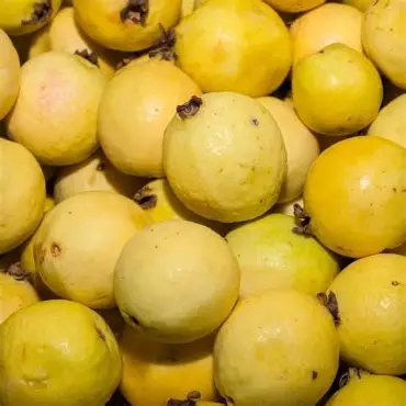 Guayaba chica, kilo