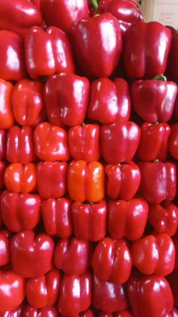 Morron rojo mediano, kilo (mediano)